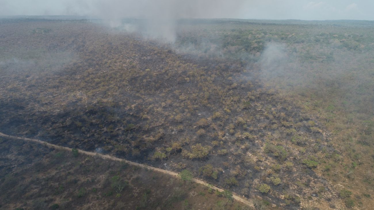 Chuva apaga incêndio na Apa Alter do Chão; imagens de satélite mostram  evolução das chamas, Santarém e Região